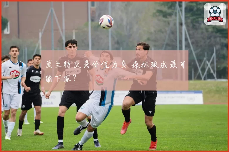 莫兰特交易价值为负 森林狼成最可能下家?