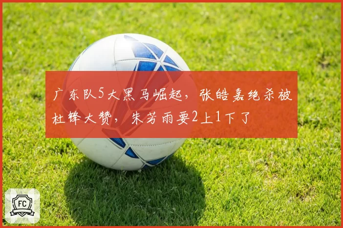 广东队5大黑马崛起，张皓嘉绝杀被杜锋大赞，朱芳雨要2上1下了