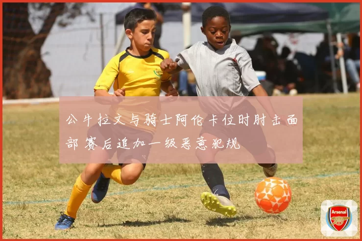 公牛拉文与骑士阿伦卡位时肘击面部 赛后追加一级恶意犯规