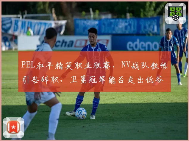 PEL和平精英职业联赛,NV战队教练引咎辞职,卫冕冠军能否走出低谷?