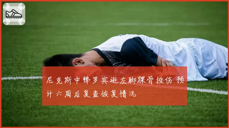 尼克斯中锋罗宾逊左脚踝骨挫伤 预计六周后复查恢复情况