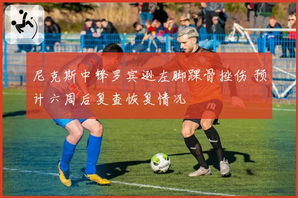 尼克斯中锋罗宾逊左脚踝骨挫伤 预计六周后复查恢复情况