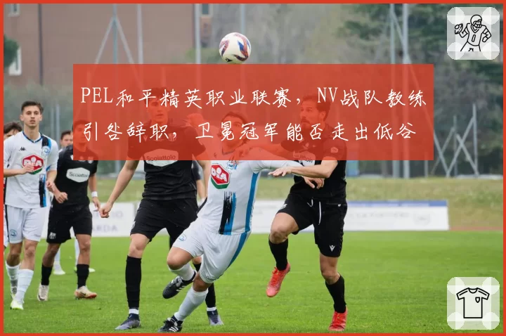 PEL和平精英职业联赛,NV战队教练引咎辞职,卫冕冠军能否走出低谷?
