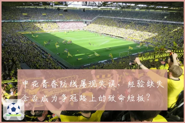 申花青春防线屡现失误，经验缺失会否成为争冠路上的致命短板？