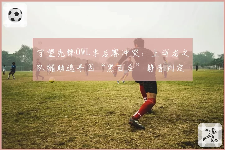 守望先锋OWL季后赛冲突,上海龙之队辅助选手因“黑百合”静音判定抗议
